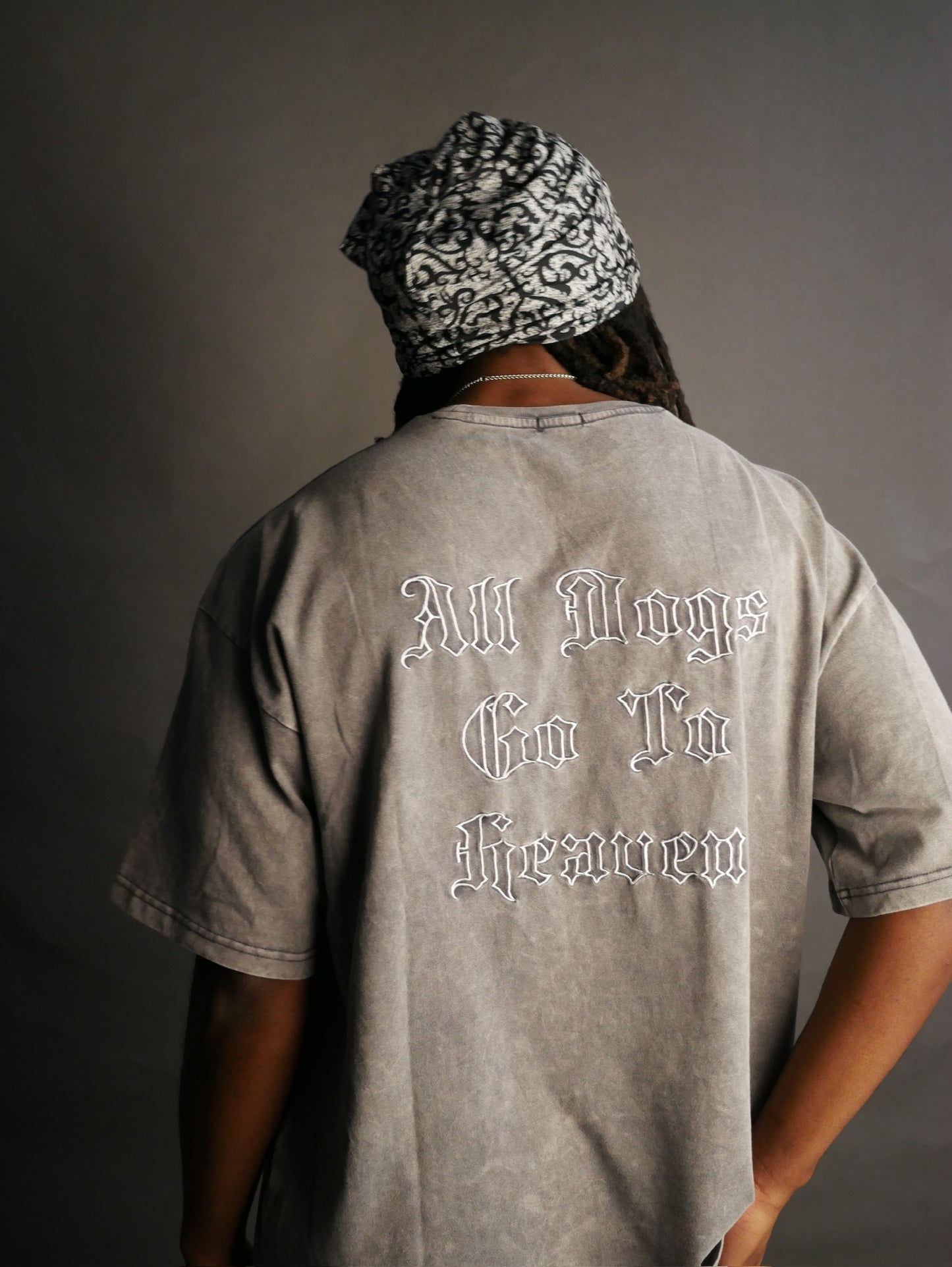 Siriuss All Dogs Go To Heaven Oversized Tee